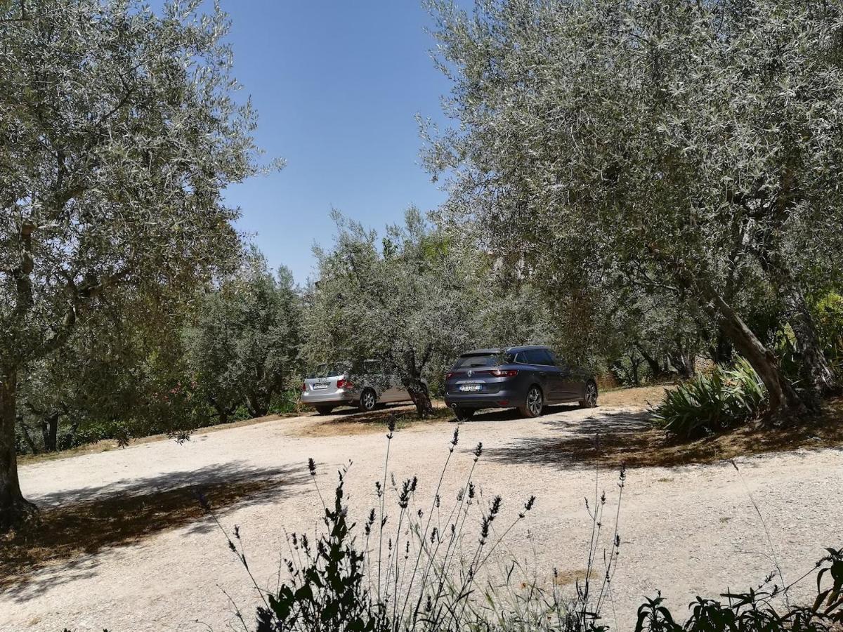 אסיסי Casa Vacanze "Alcentro" מראה חיצוני תמונה